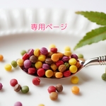 お客様専用ページ
