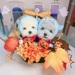 ♡kogonta様専用ページ♡