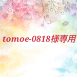 tomoe-0818様専用.*･みたらし団子キーホルダー