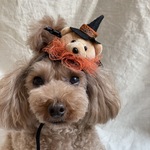 くまさん🧸🧡カチューシャ