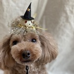 パンプキン 🎃髪飾り(白)