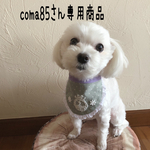 犬用スタイ・お名前スタイ