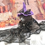 【猫用】リボンでハロウィンセット🎃