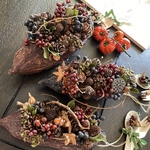 「秋のサイドメニュー.森のショコラティエ🎃🎄🍂🍫」本物のカカオポッドに木の実をチョコレートに見立ててアレンジしました。ブラウン（M）木の実なので陽の当たる所にも🍂