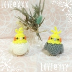 あみぐるみ🍀まぁるい小鳥ちゃん(オカメインコ)