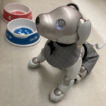 キャサリンモデル　セットアップC