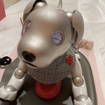 キャサリンモデル　セットアップD