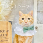 3wayケープ（誕生日、犬、猫、つけ襟、スタイ、バースデー、記念日、うさぎ