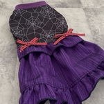 完成品犬服M☆ハロウィンワンピース☆蜘蛛の巣🕸️