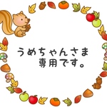 うめちゃん様 専用
