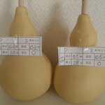 乾燥ひょうたん 16.8㎝と15.7㎝ ２本セットP