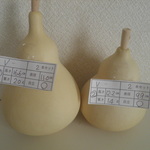 乾燥ひょうたん 16.6㎝と12.2㎝ ２本セットV