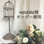 volubilis様　オーダー専用