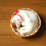 かご猫　たま