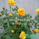 ichigo76931様オーダー品