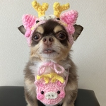 犬用＆猫用 桃色龍帽子🐲💖干支帽子 正月 辰帽子