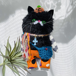No.6367 ハロウィン🎃黒猫chanぬいぐるみ