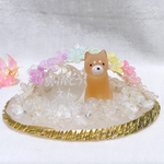 虹の橋　ふわふわの雲の上のワンちゃん　天使