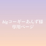 bigコーギーあんず様 専用ページ