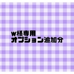 アメコミコーギーオプション