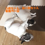 うめちゃん、みーみちゃん専用