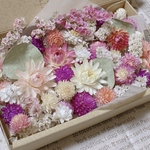 ドライフラワー 花材 たっぷり ピンク系詰め合わせ