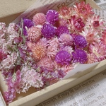 ドライフラワー 花材 たっぷり ピンクセット