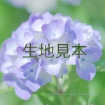 生地見本