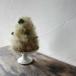 スモークツリーのtree 約20cm