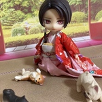 オビツ11　着物　大奥風　　色打ち掛け