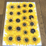 macoronが作った華やかな秋咲きひまわりのドライフラワー‼️