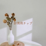 計測用チップ