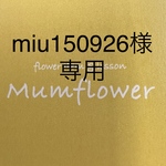 【miu様専用】かすみ草追加