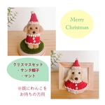【受注制作】わんこお持ちの方用クリスマスセット飾りのみ♡「おすわりわんこ」「おでかけわんこ」「額縁わんこ」(mii._.wool)