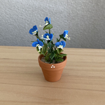つゆくさ　花鉢
