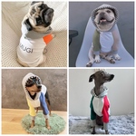 セレクトカラー 名入れ ラグランパーカー 犬服