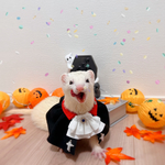 【　🎃伯爵さまSET🎃　】