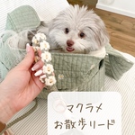 完全オーダーメイドお散歩リード