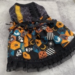 完成品犬服DS☆ハロウィンワンピース