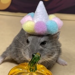 ピエロ風ちいサイズ帽子