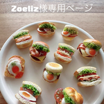 Zoeliz様専用ページ