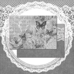 papillon de jour_Black 10枚