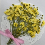 NO.18❣️好評即売につき5回目の再販✨押し花素材／かすみ草イエロー