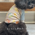 えい吉くん専用ページ