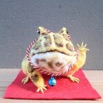 招きツノガエル　羊毛フェルト　置物　frog　インテリア　縁起物　開運　招福　招き猫　開店祝い