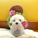 花の犬【白】プリザーブドフラワー  花 犬  いぬ カーネーション 誕生日 母の日 犬好き プレゼント ペット お供え 