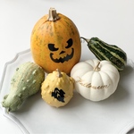 ハロウィンパンプキン5つセット（本物）