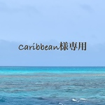 Caribbean様 専用♡