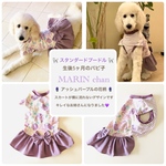 中型犬　2L  完成品