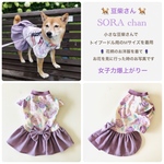 トイプードルなど　胴長小型犬　TM  完成品